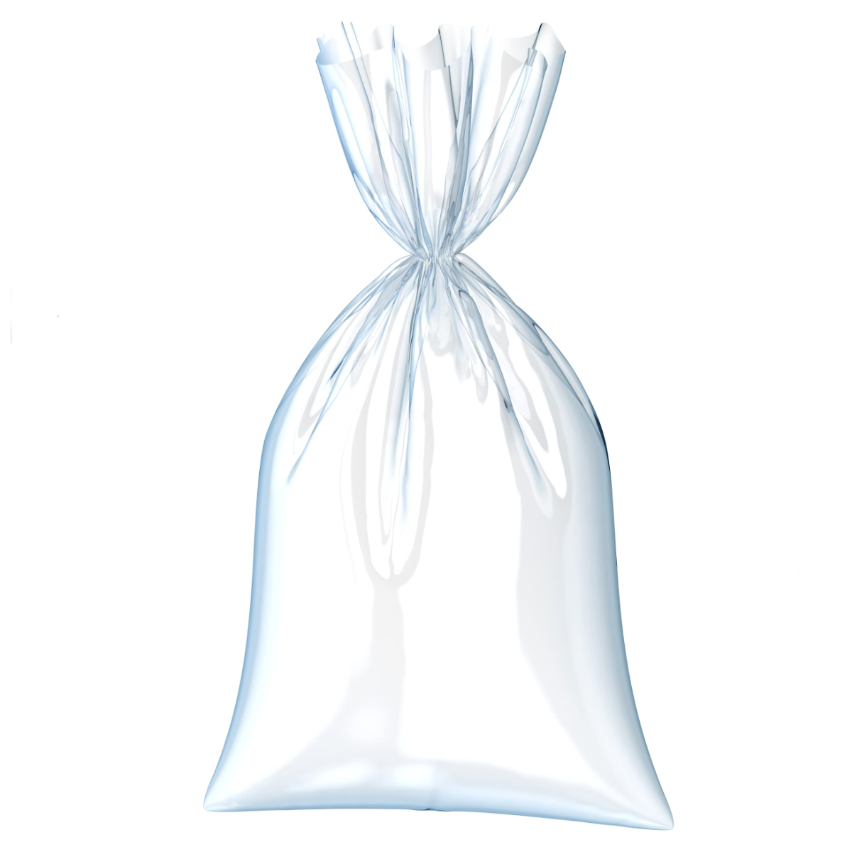 SACCHETTI BUSTA PER ALIMENTI 20X30 1 Kg   P.B.S.